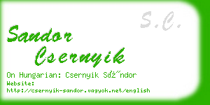 sandor csernyik business card